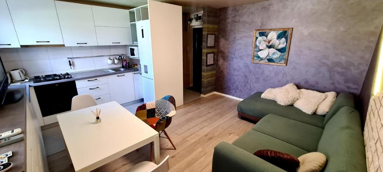 2 Rooms A&B Center Panorama Iasi Eksteriør billede